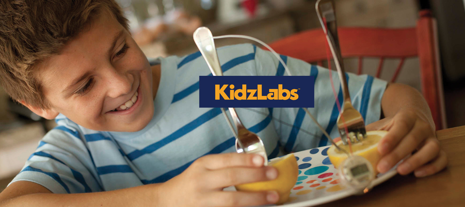 4M KidzLabs Toys