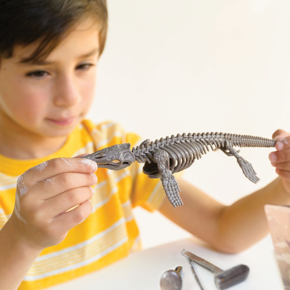 4M - KidzLabs - Dig a Dinosaur - Pteranodon