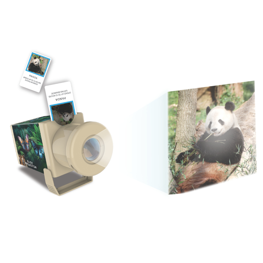4M - KidzLabs - Slide Projector - Wildlife