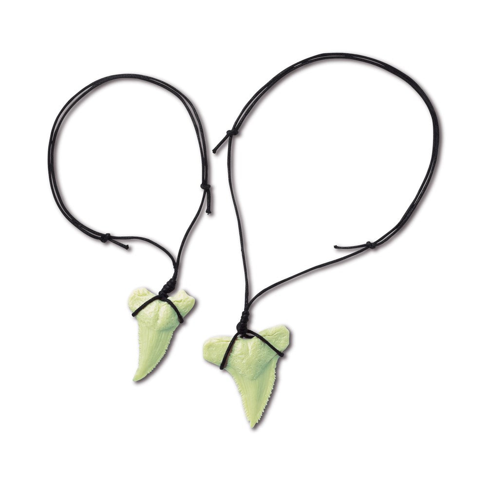 4M - KidzLabs - Shark Tooth Fossil