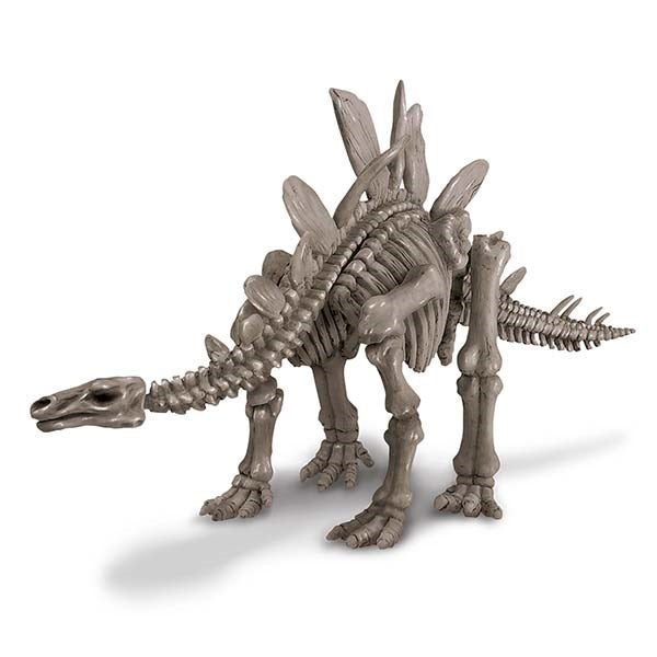 4M - Dig a Dinosaur - Stegosaurus