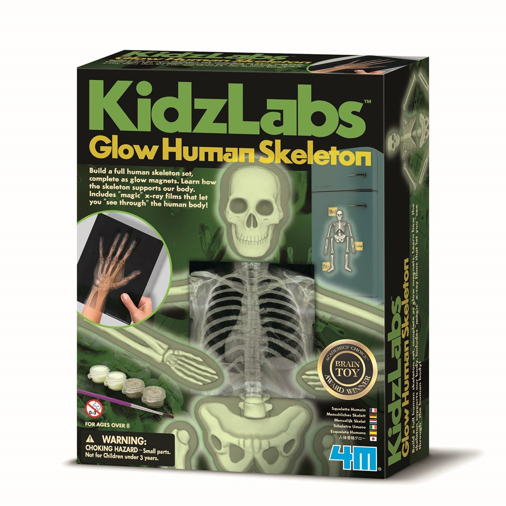 4M - KidzLabs - Human Skeleton