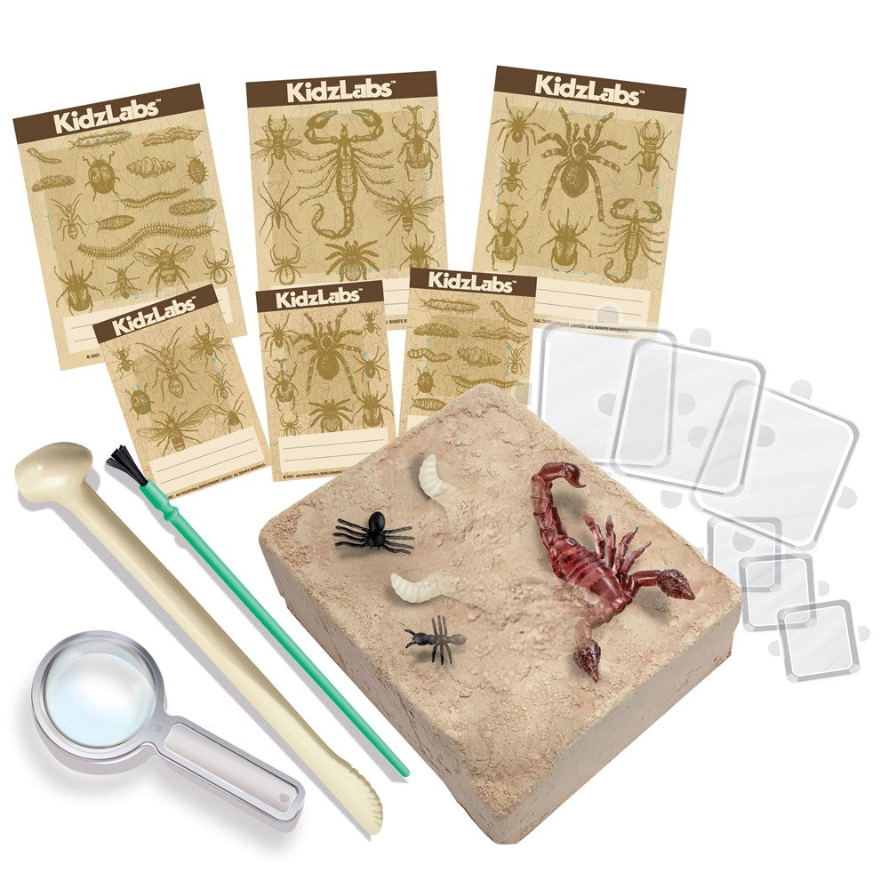 4M - KidzLabs - Creepy Crawly Digging Kit